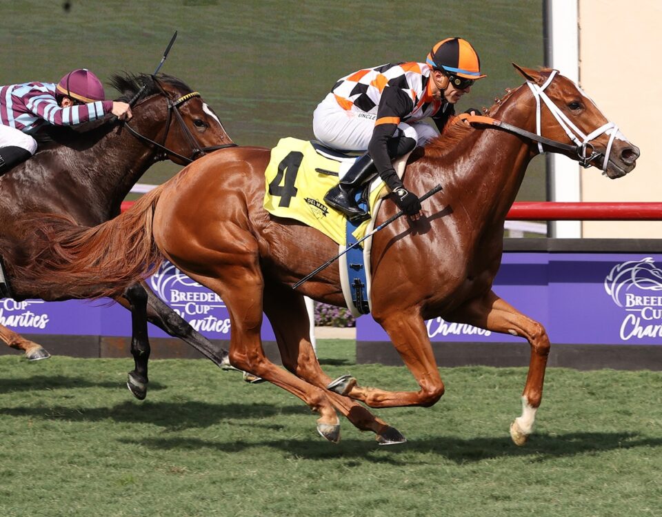 Queen Maxima - Barbara D. Livingston - Daily Racing Form