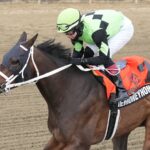 TAKETHEMONEYHONEY - Photo: JEFFREY SNYDER f/ The Maryland Jockey Club