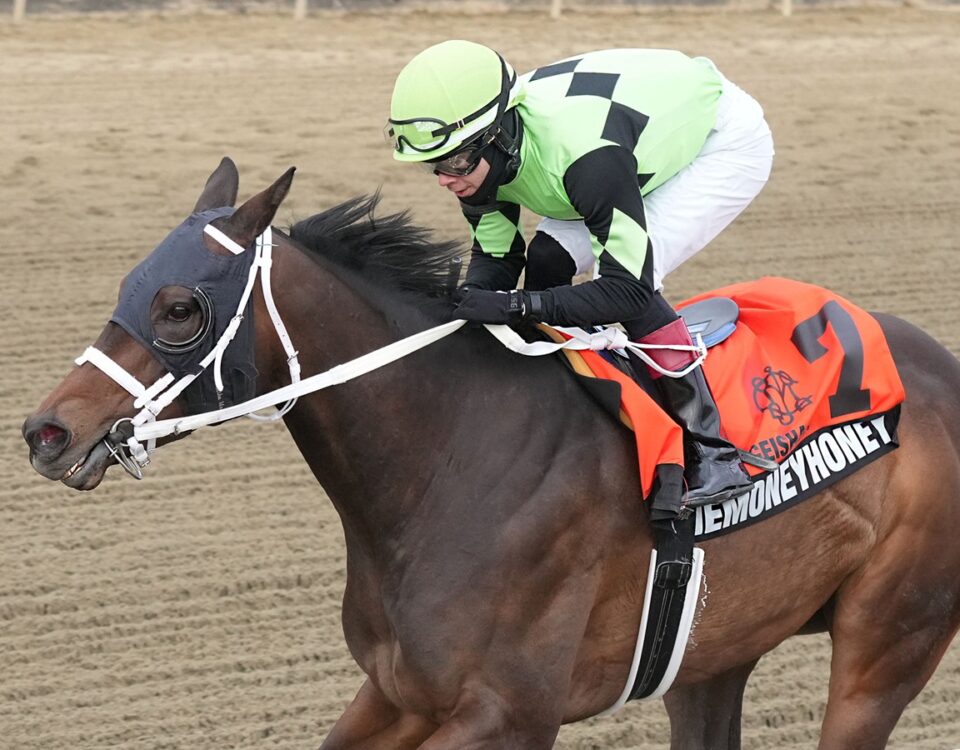 TAKETHEMONEYHONEY - Photo: JEFFREY SNYDER f/ The Maryland Jockey Club