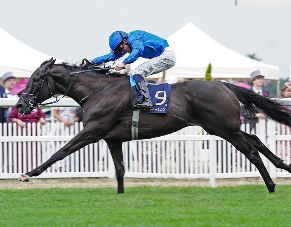 Rebel's Romance - Megan Coggin - Royal Ascot