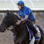 Rebel's Romance - Barbara D. Livingston - Daily Racing Form