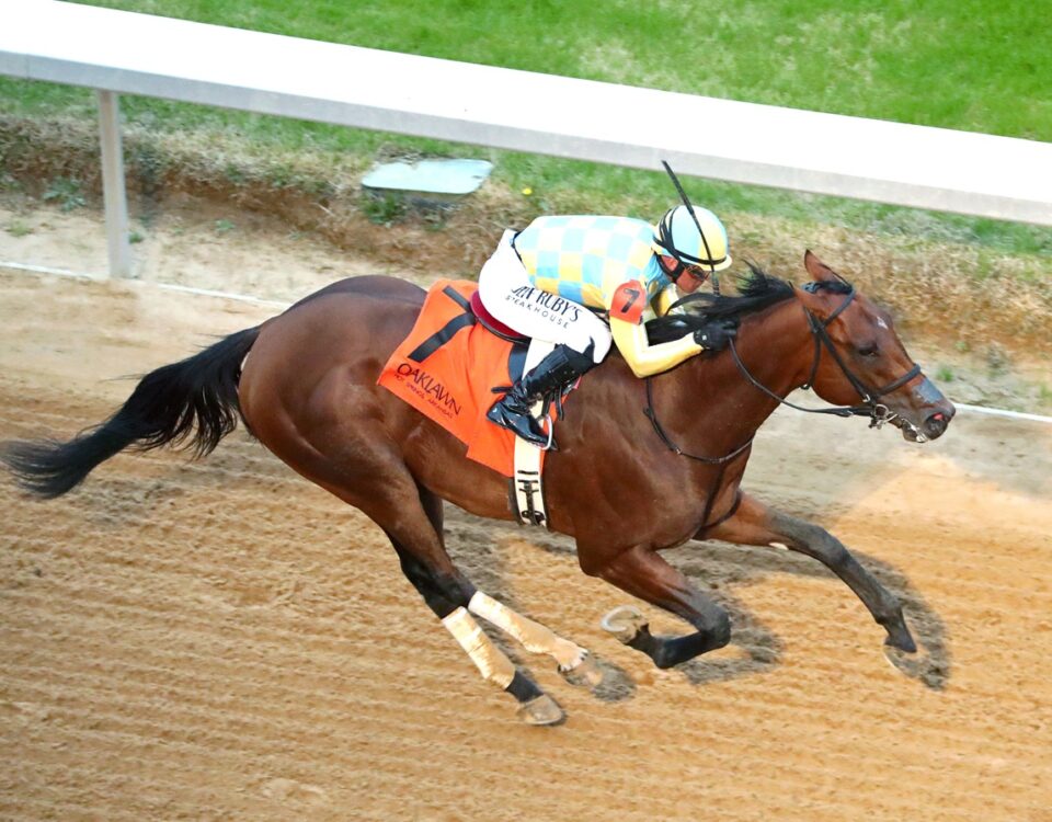 STRATEGIC RISK - Smarty Jones Stakes - Oaklawn Park - Coady Media - Andrew Stauffacher