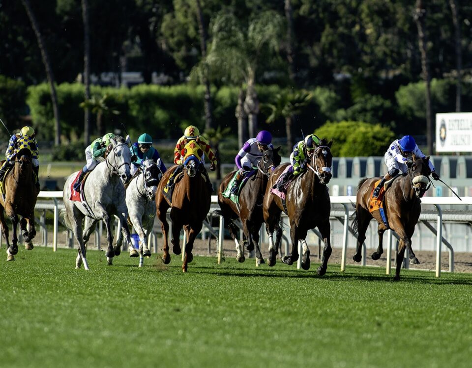 Unusual Heat Turf Classic - Santa Anita Park - Benoit Photo