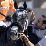 Shisospicy - Barbara D. Livingston - Daily Racing Form