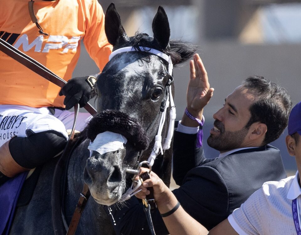 Shisospicy - Barbara D. Livingston - Daily Racing Form