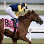 Sister Troienne - Sweetest Chant Stakes presentado por DRF - Barbara D. Livingston / Daily Racing Form