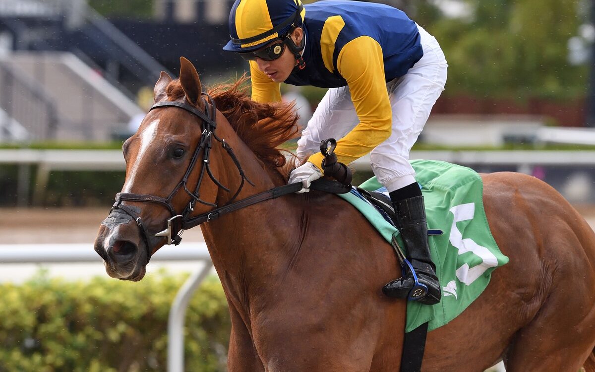 Mario Gutierrez y Brian Lynch (Sister Troienne) - Ryan Thompson - Coglianese Photo