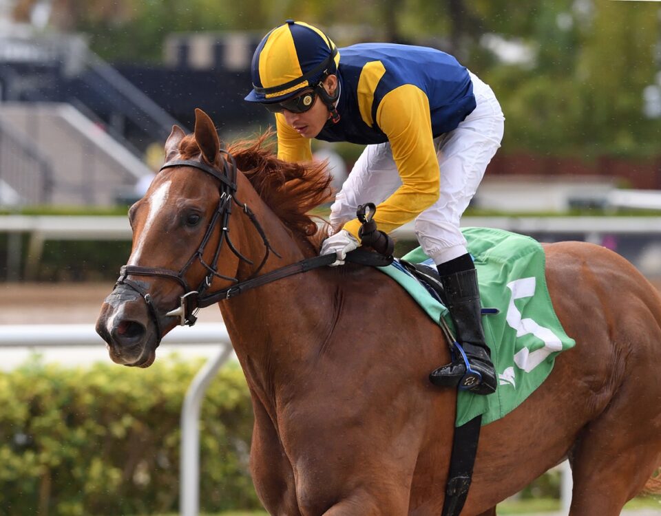 Mario Gutierrez y Brian Lynch (Sister Troienne) - Ryan Thompson - Coglianese Photo