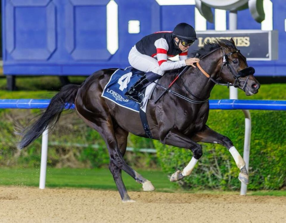 Six Speed - UAE 2000 Guineas - Meydan - Foto: Dubai Racing Club