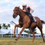 Souper Zonda - Sunshine Classic Filly & Mare Turf Stakes - Gulfstream Park - Coglianese Photo