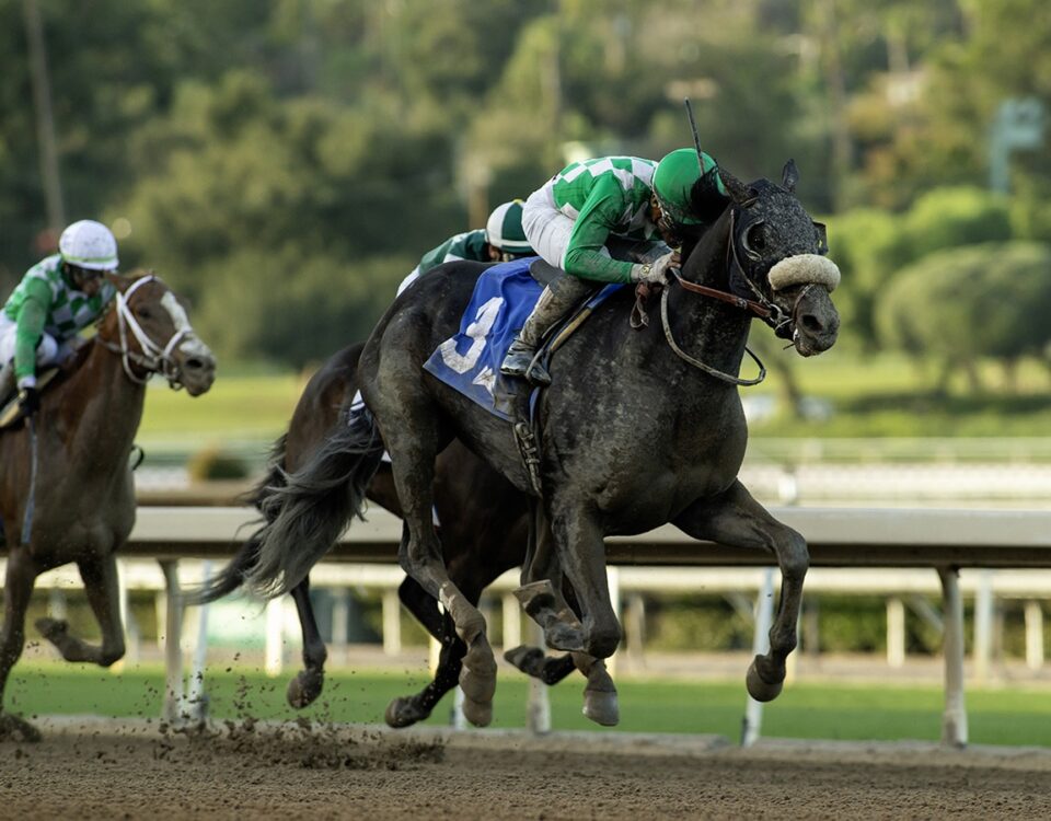 Start the Ride - California Chrome Cal Cup Derby - Santa Anita Park - Benoit Photo