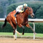 Strategic Risk - Coady Media