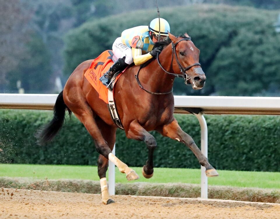 Strategic Risk - Coady Media