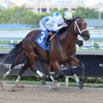 Tappan Street - Lauren King - Coglianese Photo