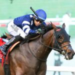 Test Score- PWC Turf Invitational G1T - Barbara D. Livingston - Daily Racing Form