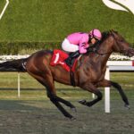 Thousandsticks - Ryan Thompson - Coglianese Photo