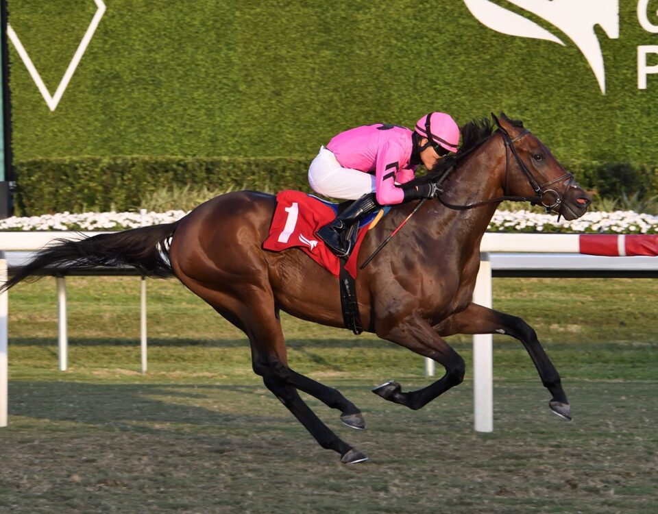 Thousandsticks - Ryan Thompson - Coglianese Photo