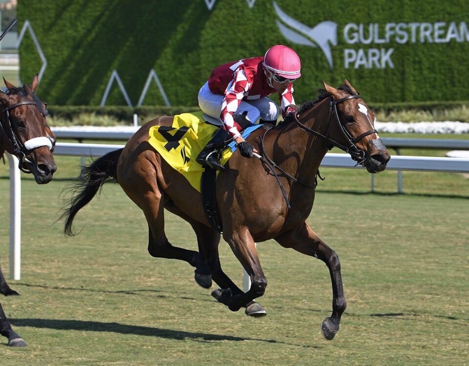 Vanish - Edgard Zayas y Mark Casse - credit: Ryan Thompson / Coglianese Photo