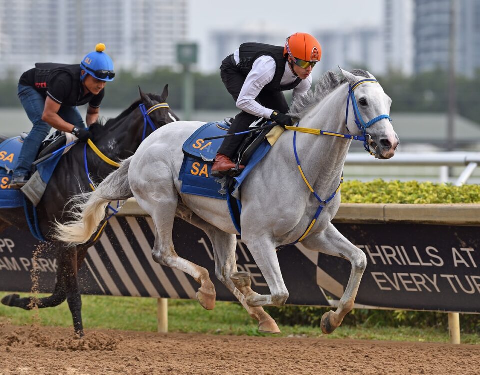White Abarrio - Ryan Thompson/Coglianese Photo