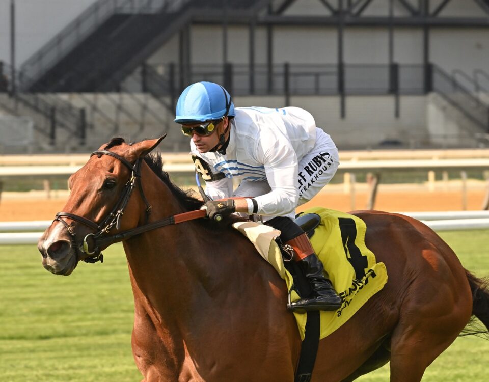 Whiskey Decision - The Athenia - credit Chelsea Durand