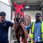 Forever Young (Jpn) en Myedan - Foto credito: Dubai Racing Club