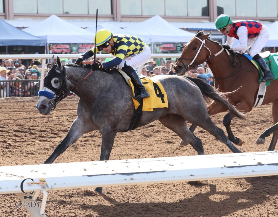 Bottle-of-Rouge-Sunland-Park-Oaks-Coady-Media