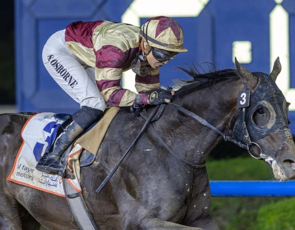 Brotherly Love (GB) - Dubai Road to the Kentucky Derby Stakes - credit Dubai Racing Club Media