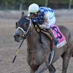 Claret Beret - Royal Delta Stakes G3 - Ryan Thompson - Coglianese Photo