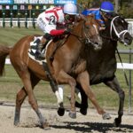 Emerging Market - Tom Keyser - Daily Racing Form