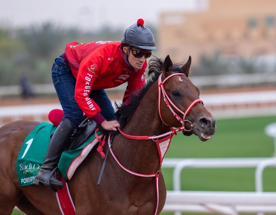 FOREVER YOUNG (JPN) - Jockey Club of Saudi Arabia - Abdullah Wanas