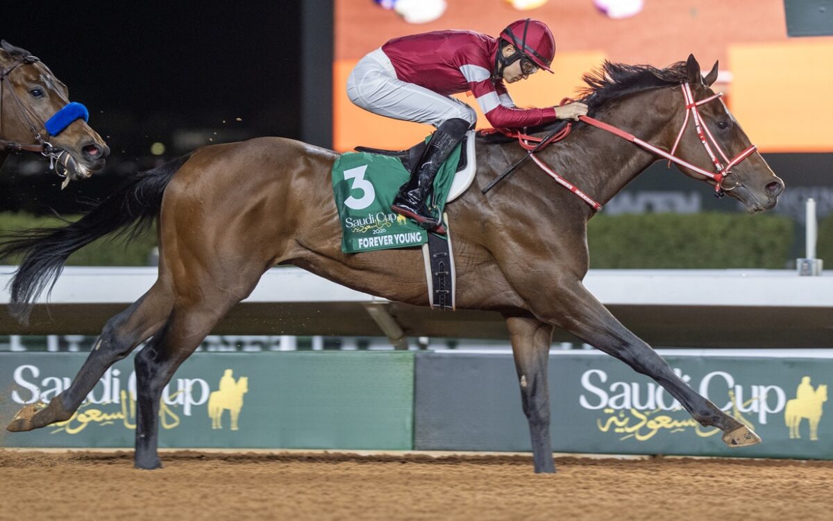 Forever Young - Saudi Cup - King Abdulaziz Racecourse -Riyadh Saudi Arabia - Mathea Kelley - JCSA
