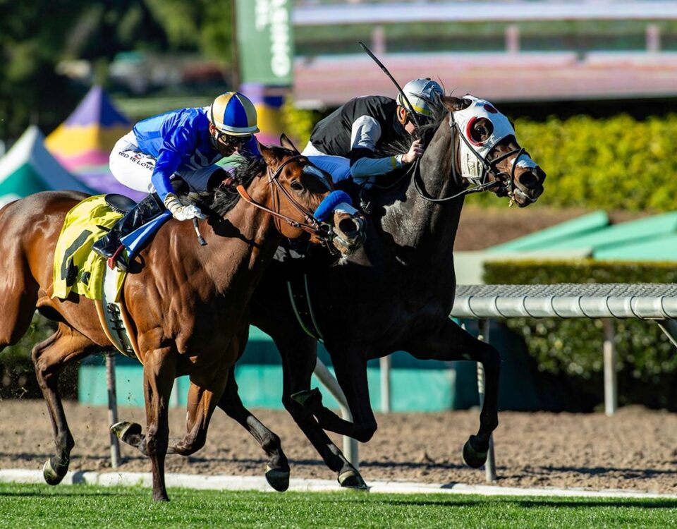 Gratefully - Wishing Well Stakes - Benoit Photo - Santa Anita Park