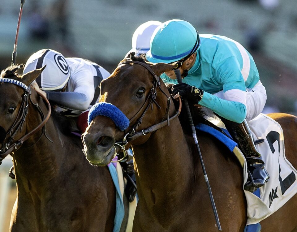 Greenwich Village - Santa Anita Park, Arcadia CA. © BENOIT PHOTO