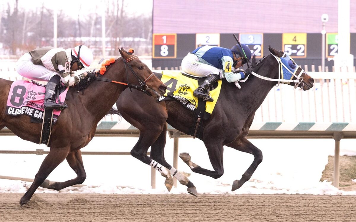 HOLLYWOOD IMPORT - Spectacular Bid Stakes - Photo: Jim McCue f/ The Maryland Jockey Club