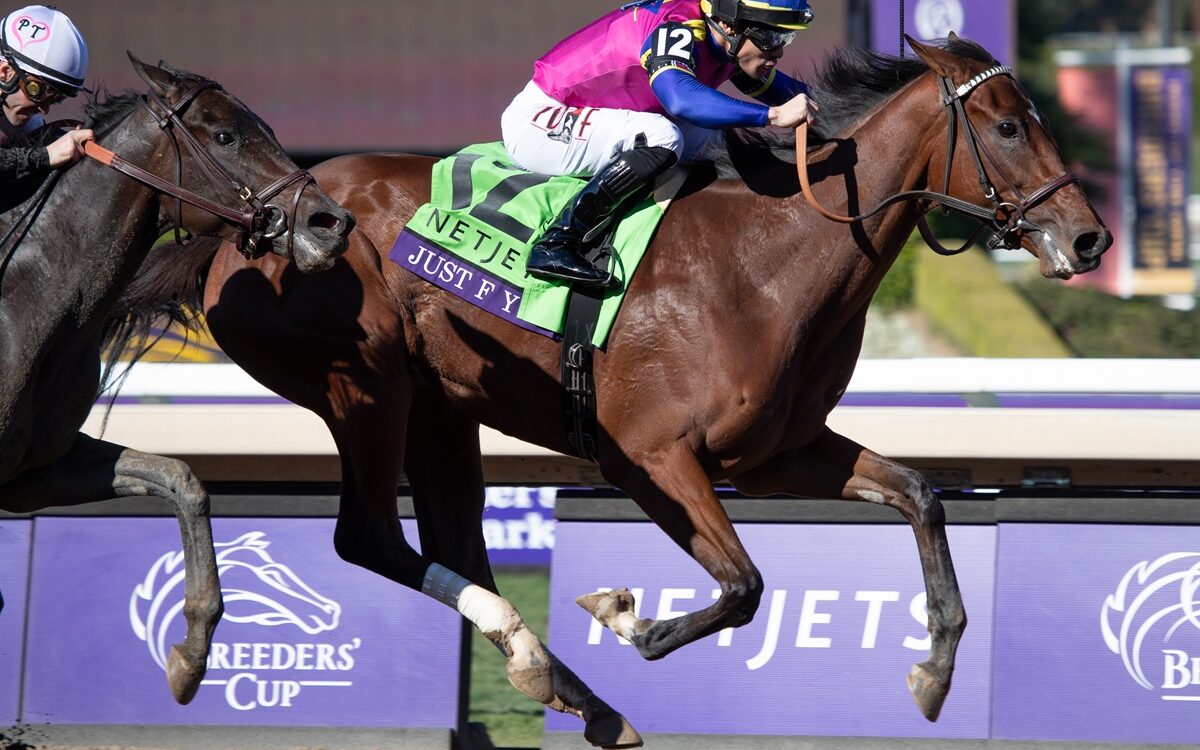 Just FYI - Julie Wright - Daily Racing Form