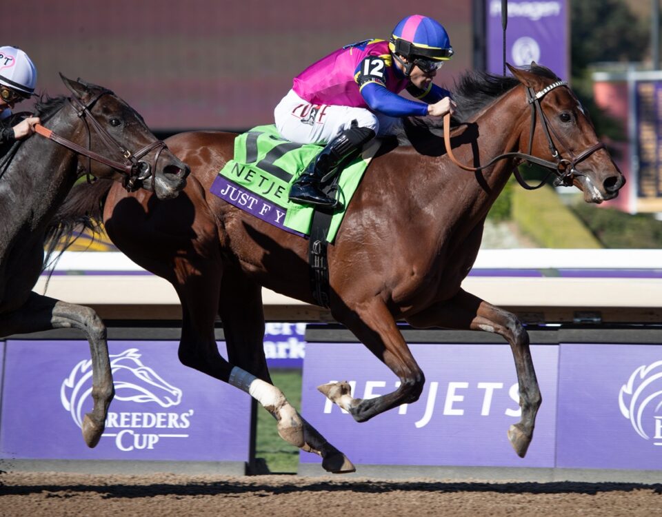 Just FYI - Julie Wright - Daily Racing Form