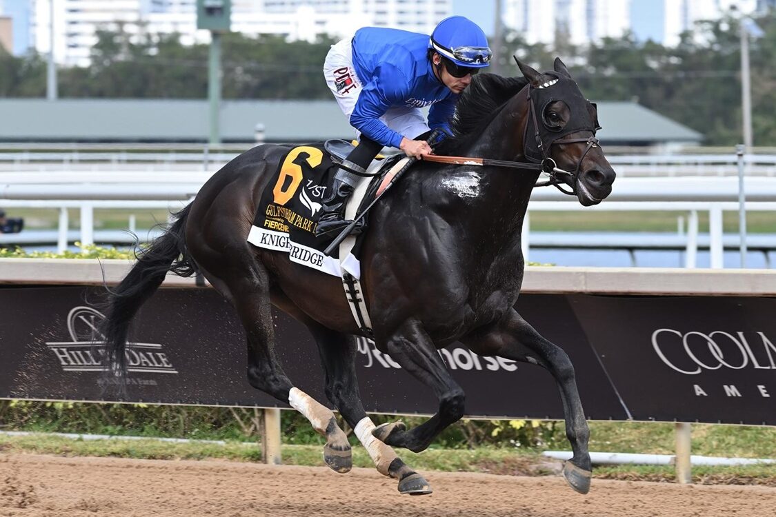 Knightsbridge - Gulfstream Park Mile G3 - Coglianese Photo