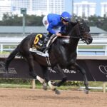Knightsbridge - Gulfstream Park Mile G3 - Coglianese Photo