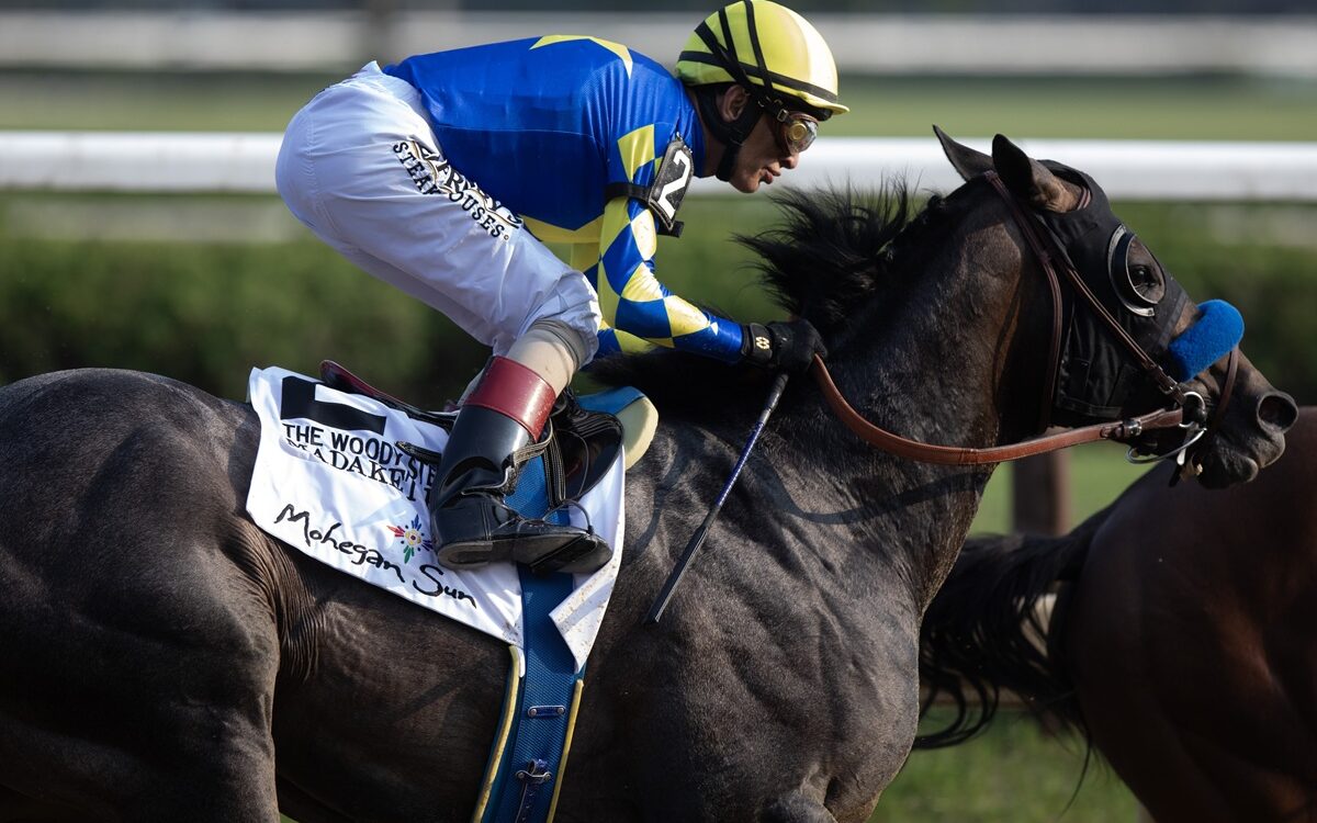 Madaket Road - Justin Lane - Daily Racing Form