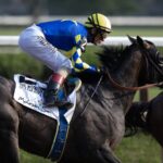 Madaket Road - Justin Lane - Daily Racing Form