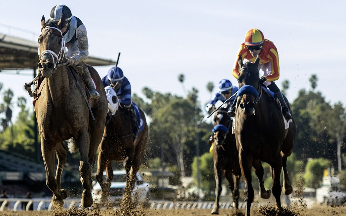 Meaning - Las Virgenes Stakes - Santa Anita Park - © BENOIT PHOTO