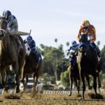 Meaning - Las Virgenes Stakes - Santa Anita Park - © BENOIT PHOTO