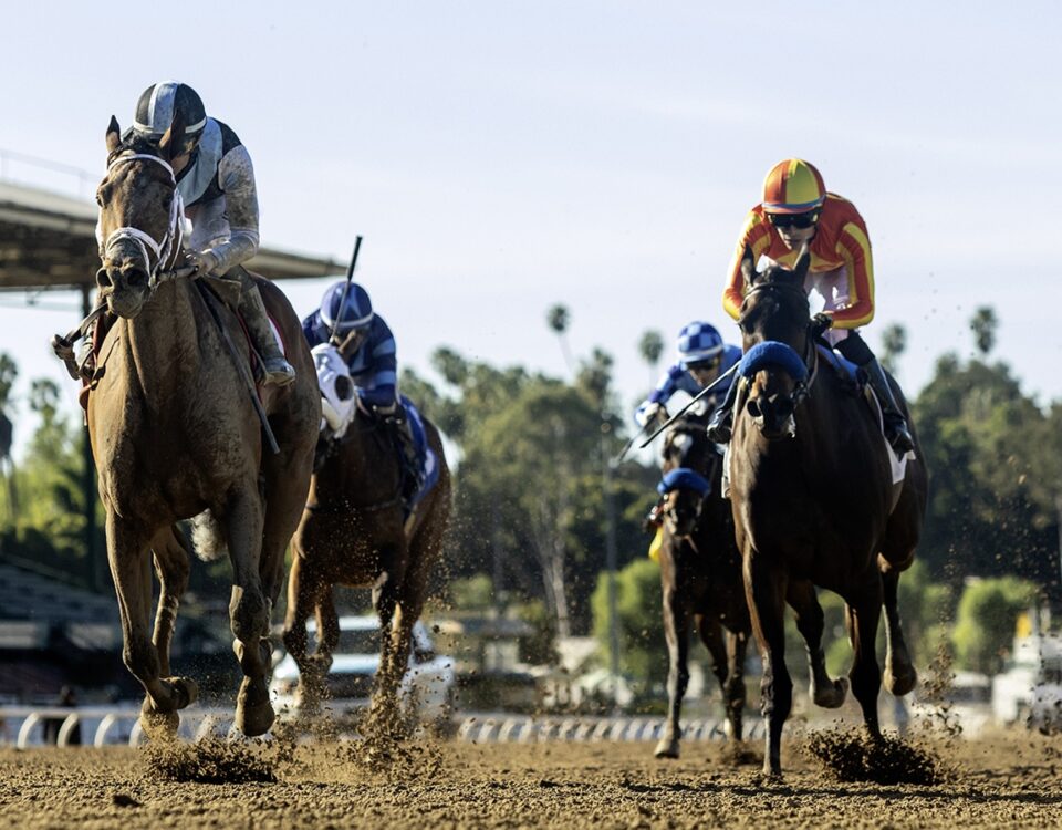 Meaning - Las Virgenes Stakes - Santa Anita Park - © BENOIT PHOTO