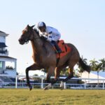 Moon Spun - Ladies' Turf Sprint Stakes - Gulfstream Park - Coglianese Photo