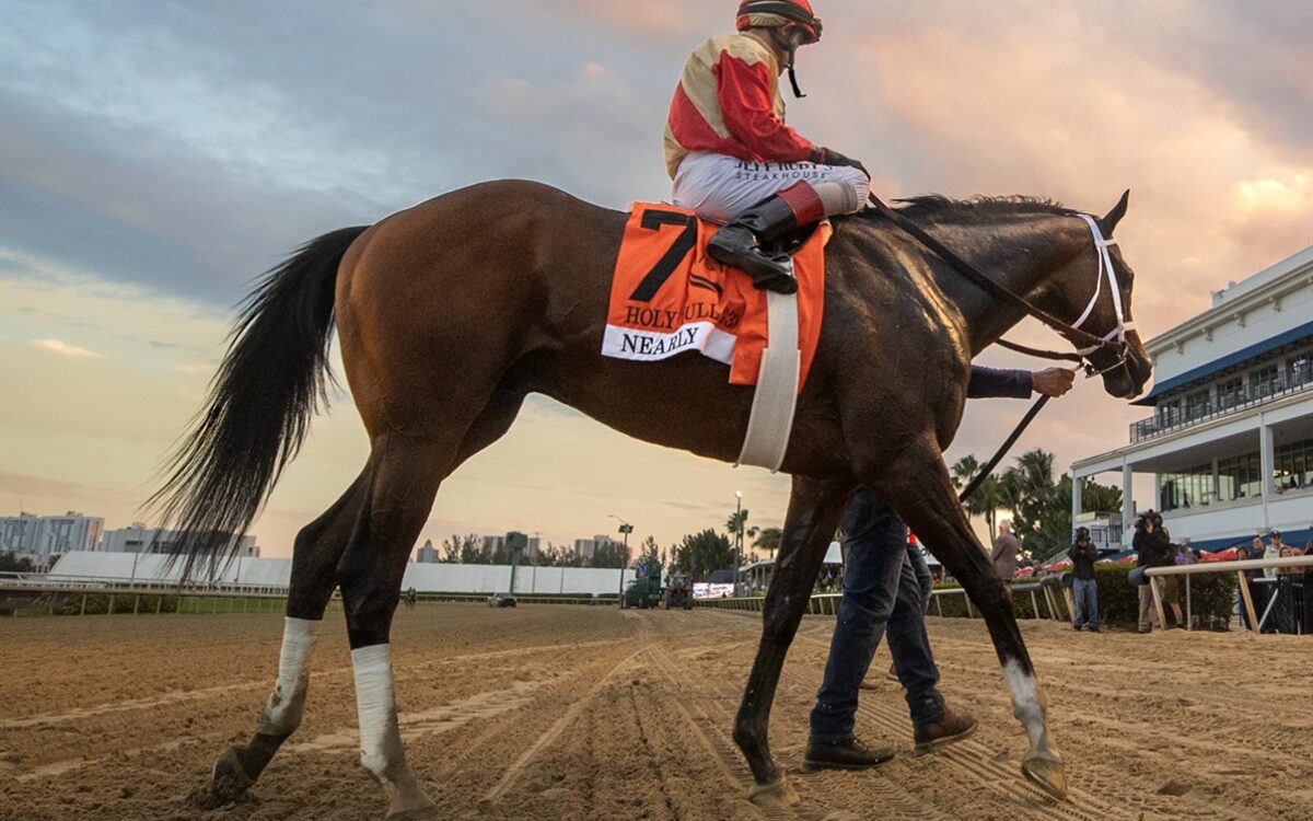 Nearly - Barbara D. Livingston - Daily Racing Form