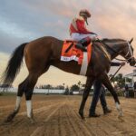 Nearly - Barbara D. Livingston - Daily Racing Form