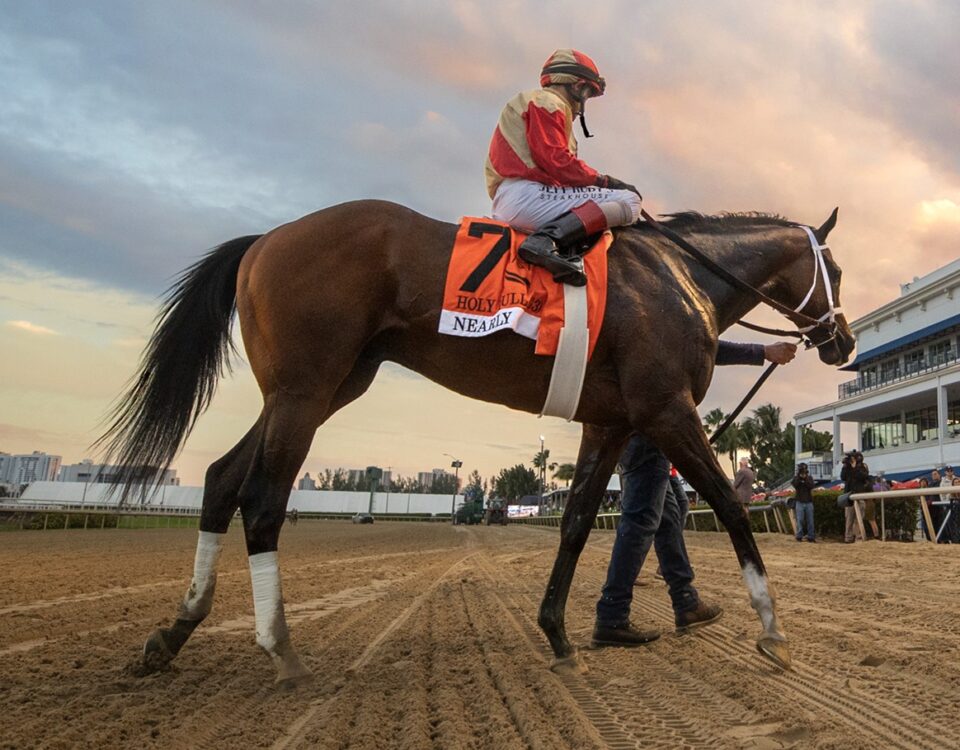 Nearly - Barbara D. Livingston - Daily Racing Form