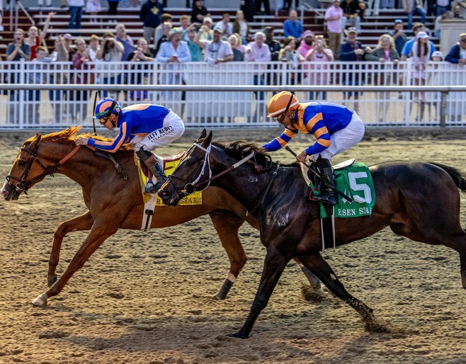Paladin - Risen Star Stakes G2 - LA. Hodges Photography /Amanda Hodges
