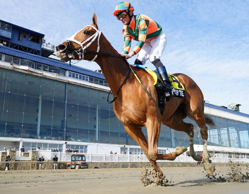 PEACH TIE - Photo: Jeffrey Snyder f/ The Maryland Jockey Club