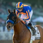 Plutarch - Robert B. Lewis Stakes - Santa Anita Park - Benoit Photo, CA.